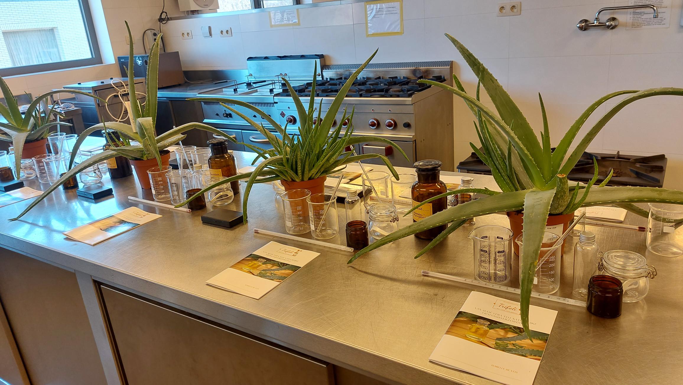 Van Aloë Vera tot natuurlijke lichaamsverzorging Workshop