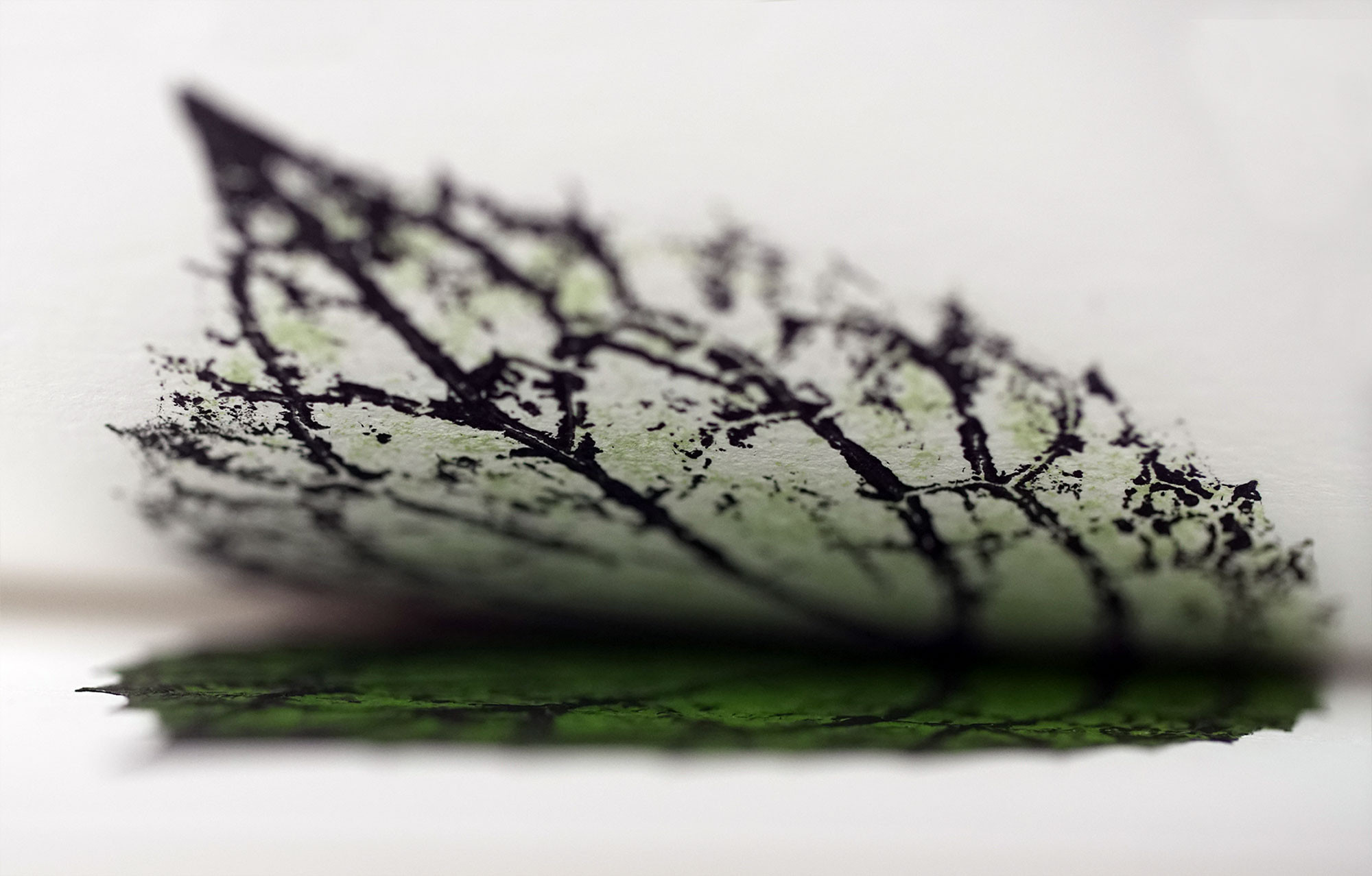 Workshop plantdruk - Schoonheid zit in onze natuur - Foto