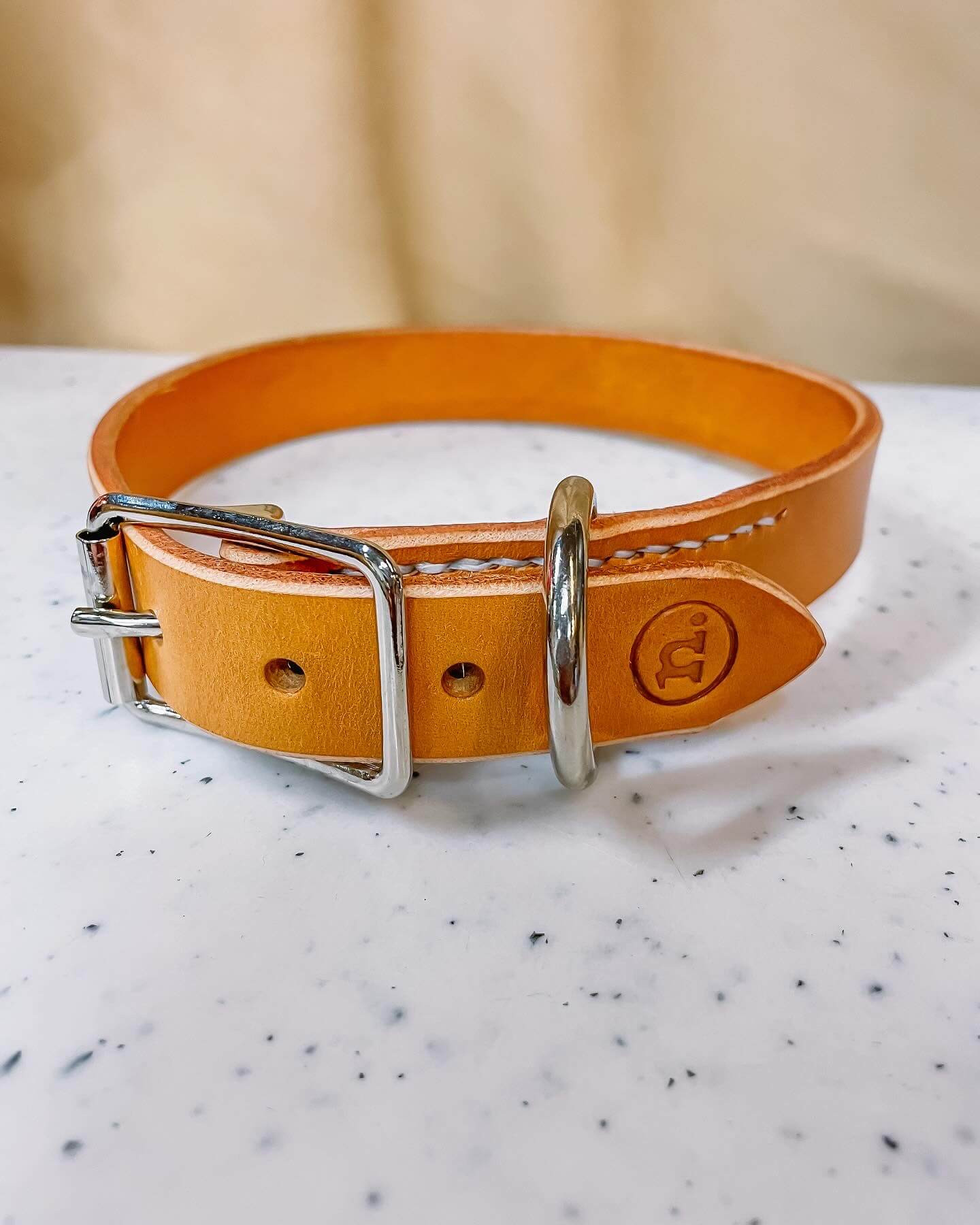 Workshop lederen hondenhalsband - Foto