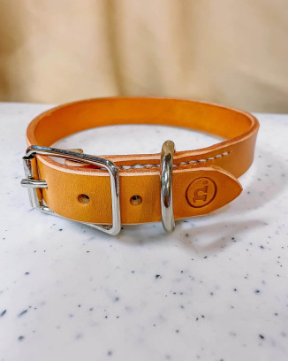 Workshop lederen hondenhalsband