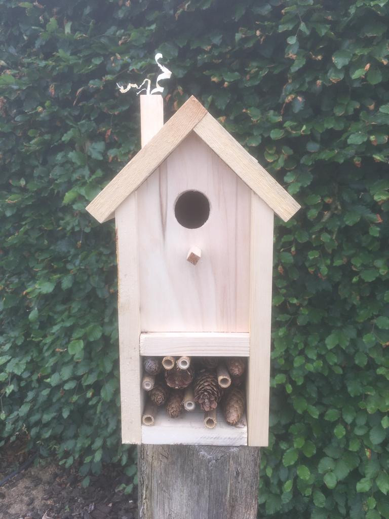 Workshop vogelhuisje met insectenhotel - Foto