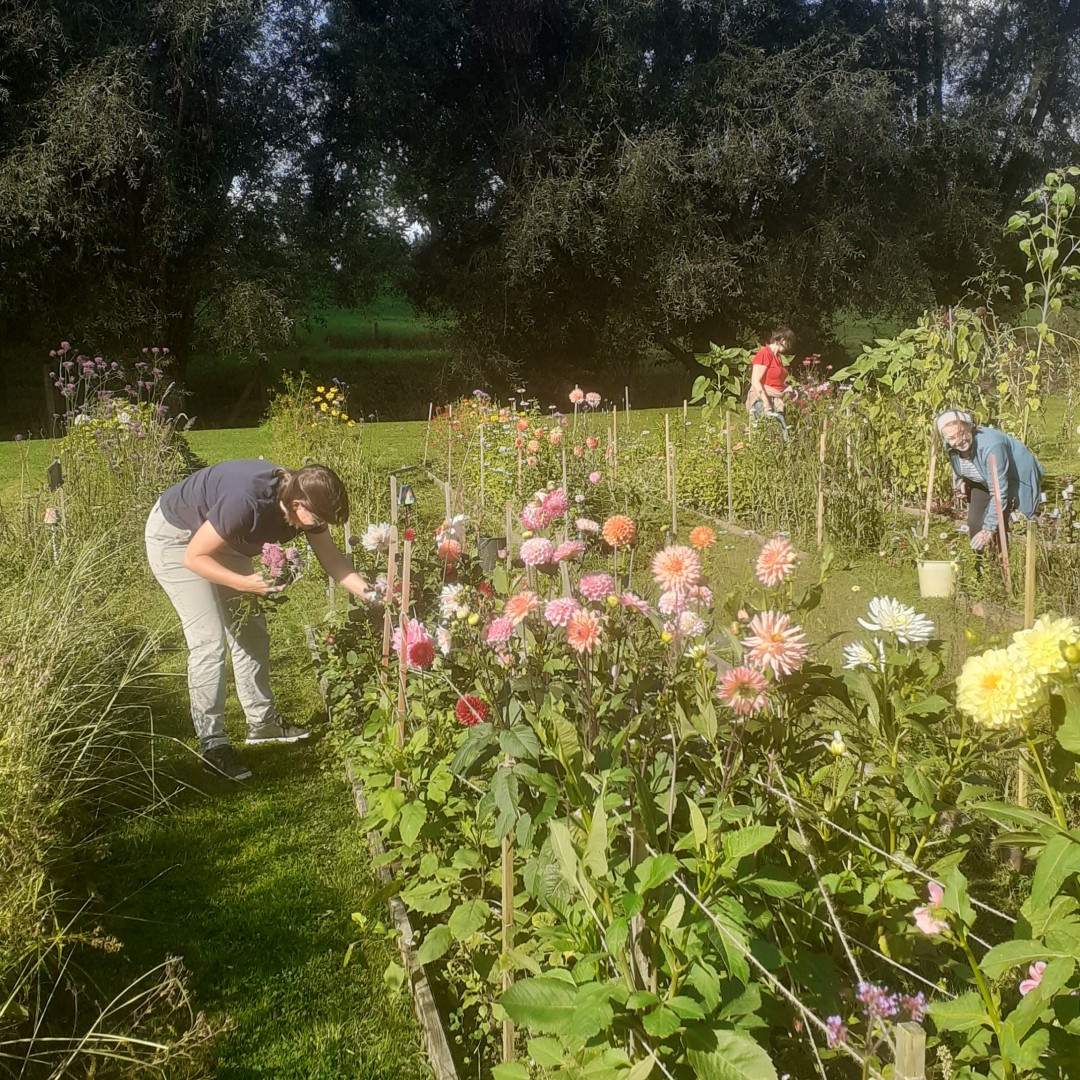 Duo - Workshop: personaliseer katoenen tas met bloemen - Foto