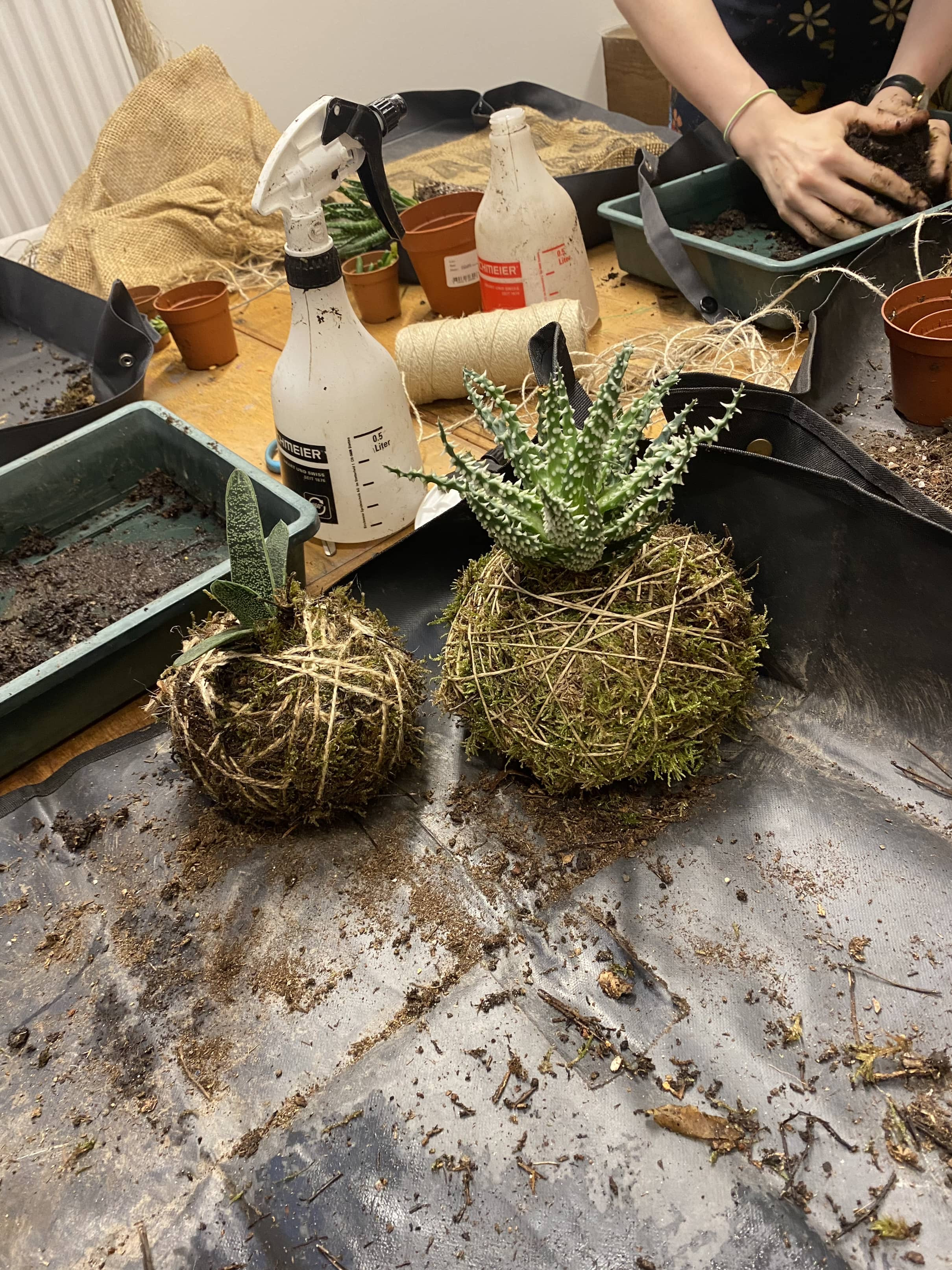 Kokedama Workshop 🪴 - Foto
