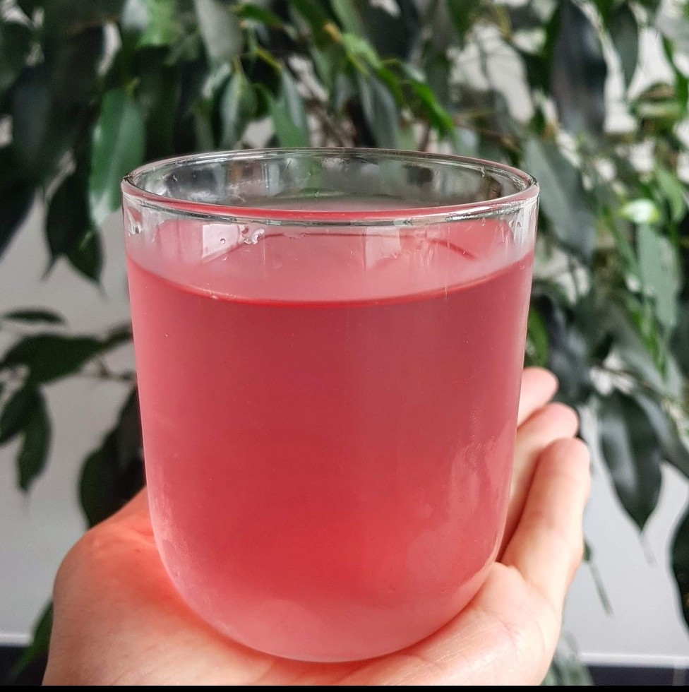 Workshop: Fermentatie dranken: healthy drinks & limo’s - Foto