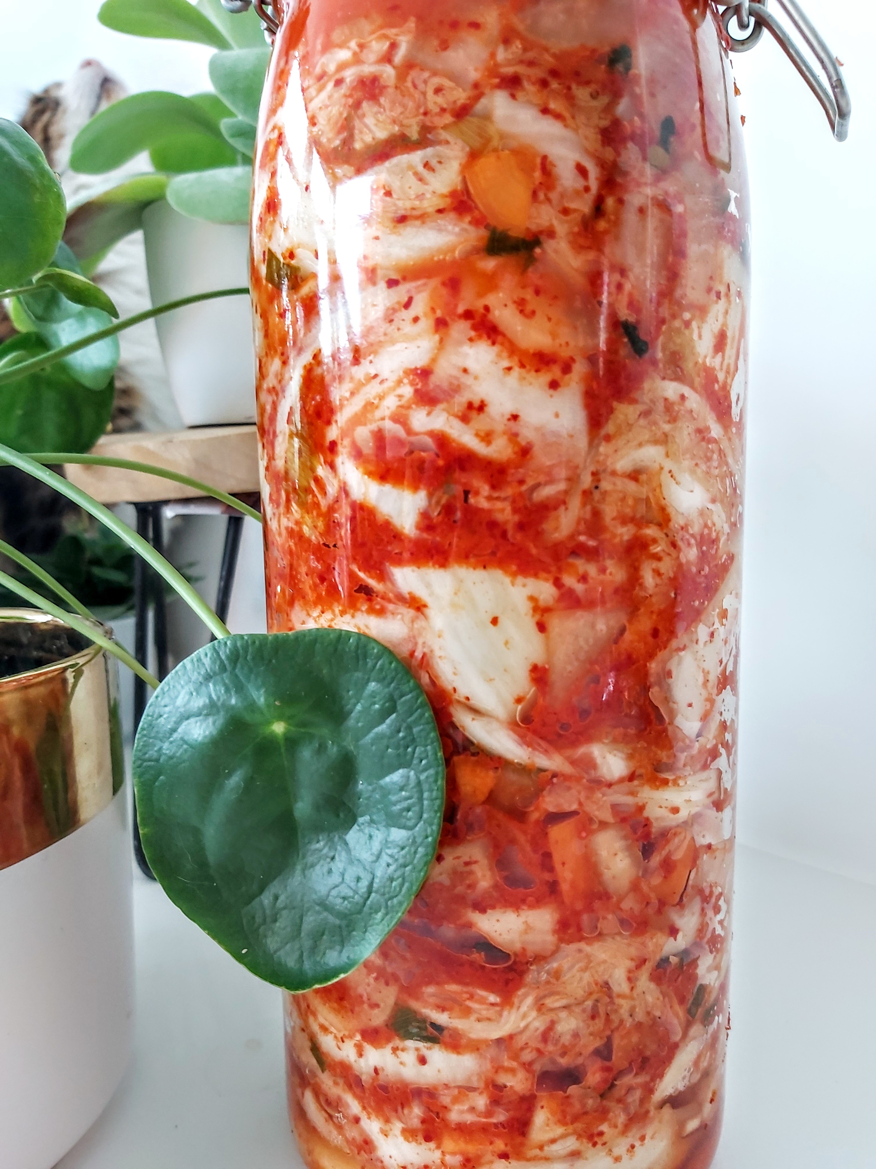Workshop: Fermenteren met groenten en kruiden - Foto
