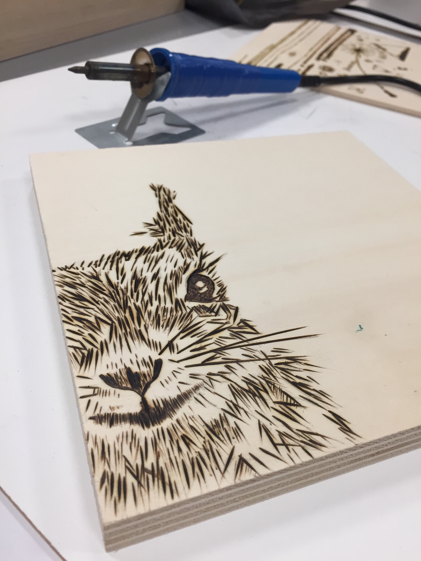 Pyrografie, de kunst van het houtbranden - Foto