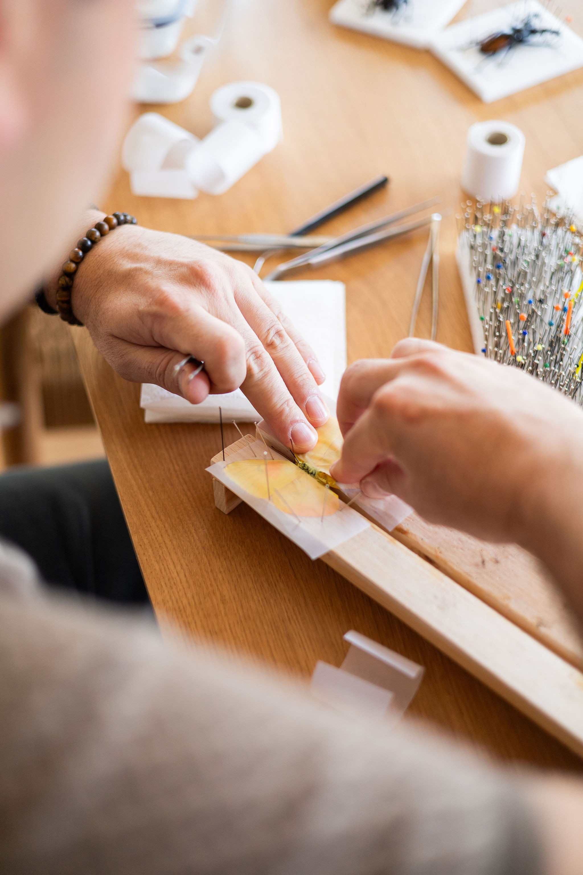 Workshop "Vlinder Creatie" - Foto