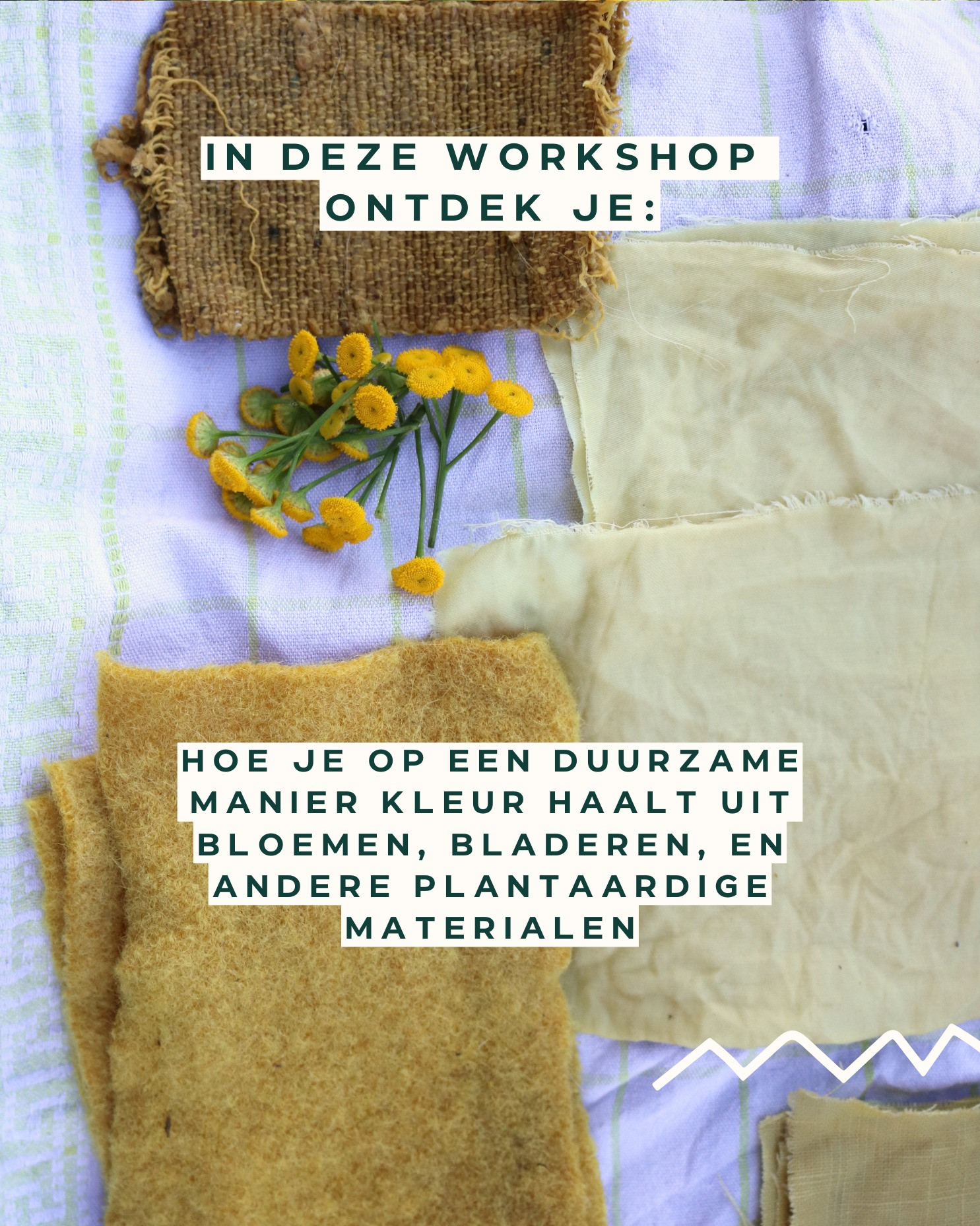 Workshop plantaardig verven: Authentieke kleuren, tijdloos ambacht - Foto