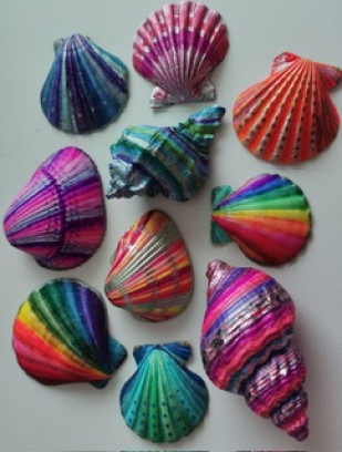 Schelpen decoreren