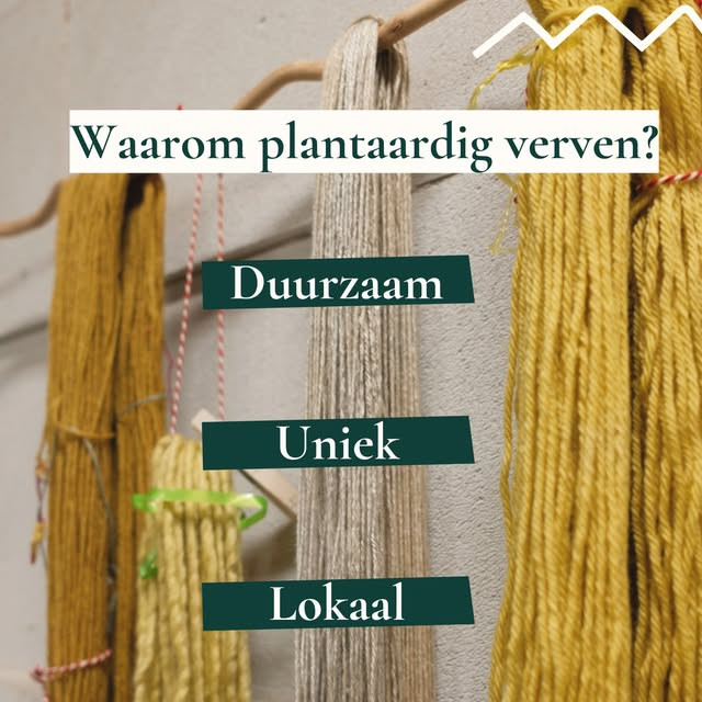 Workshop plantaardig verven: Authentieke kleuren, tijdloos ambacht (incl. GRATIS DIY-box twv  € 39,5) - Foto