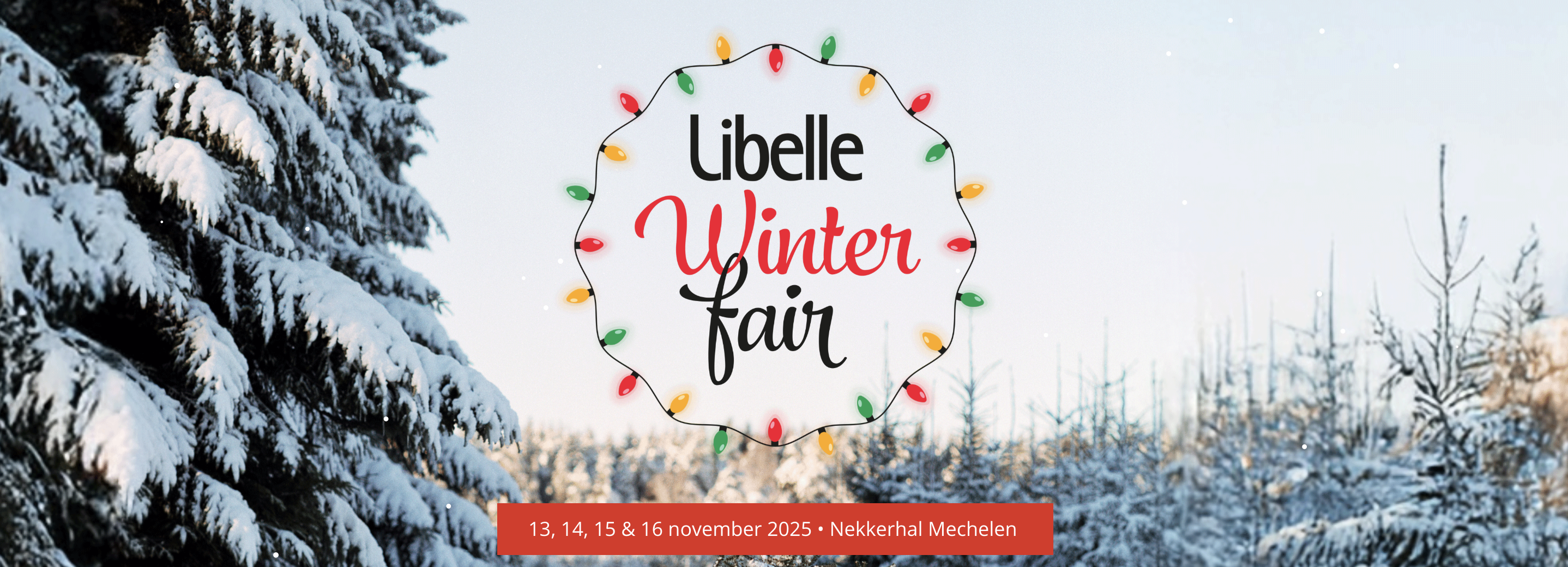 Libelle Winterfair