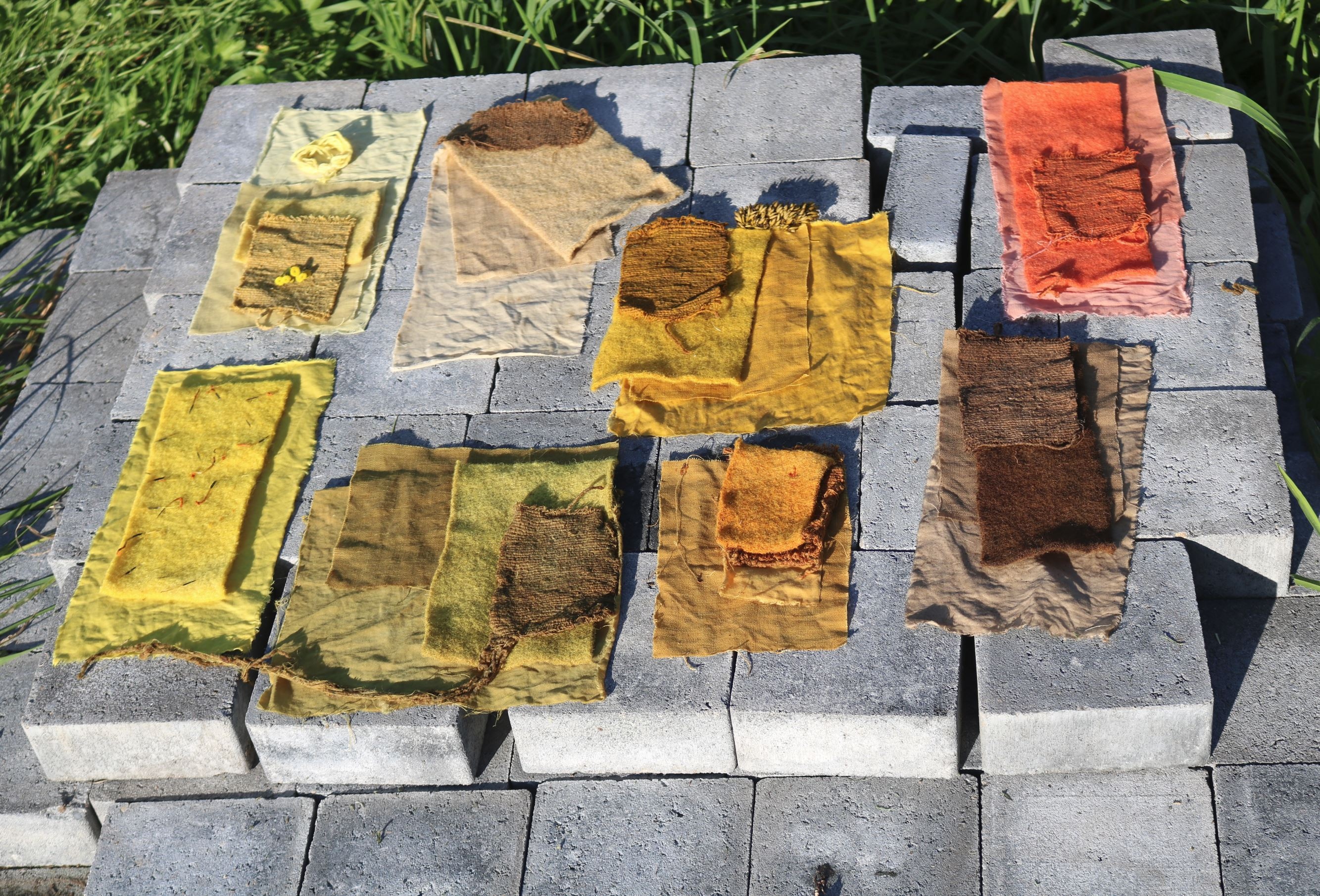Workshop plantaardig verven: Authentieke kleuren, tijdloos ambacht (incl. GRATIS DIY-box twv  € 39,5) - Foto