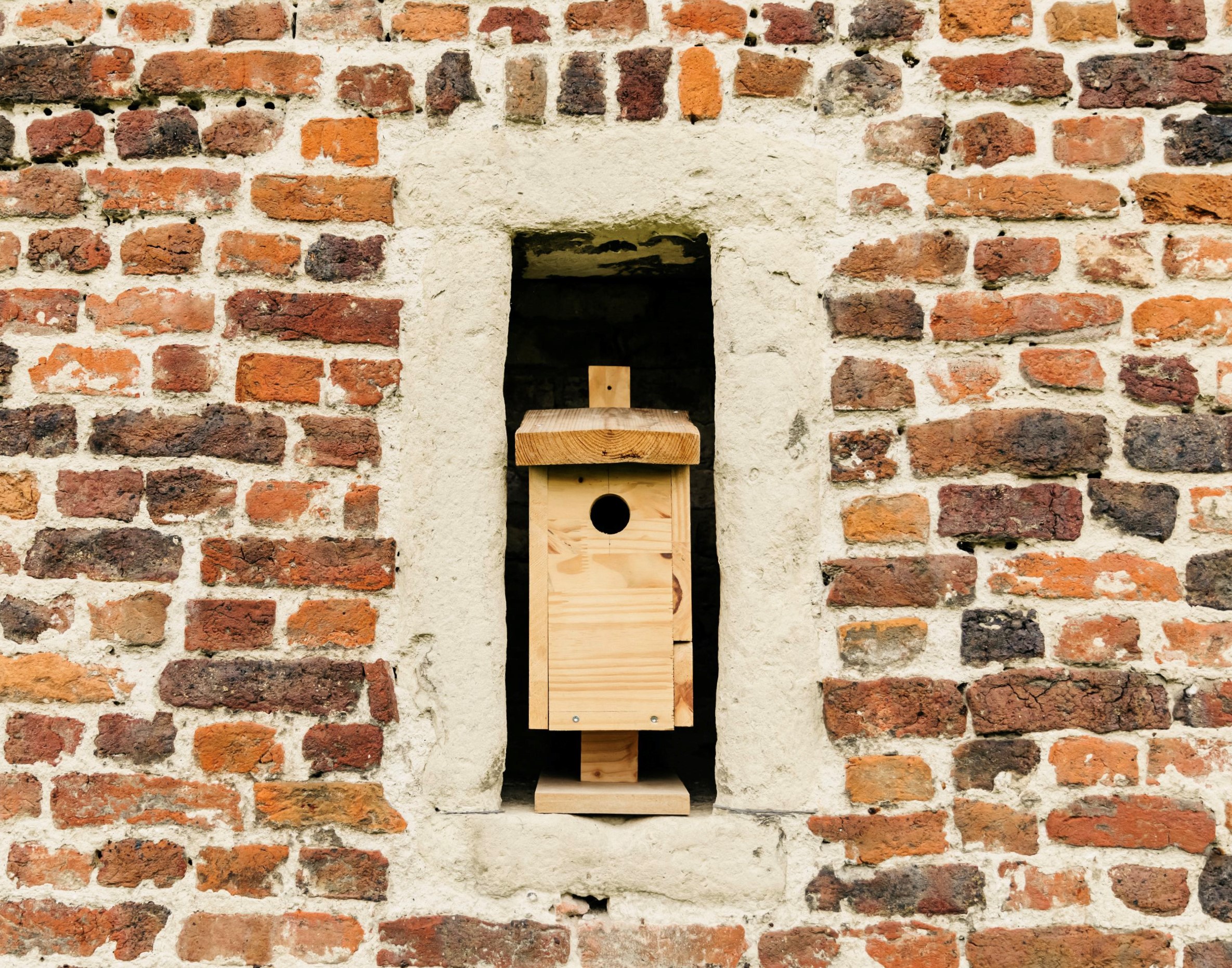 Vogelhuisje maken