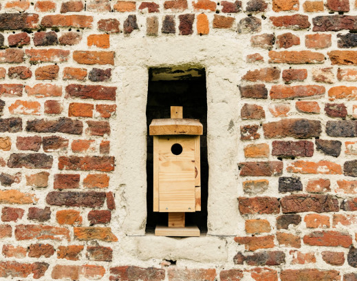 Vogelhuisje maken