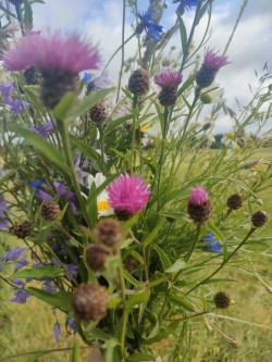 Botanische tegels workshop - Foto