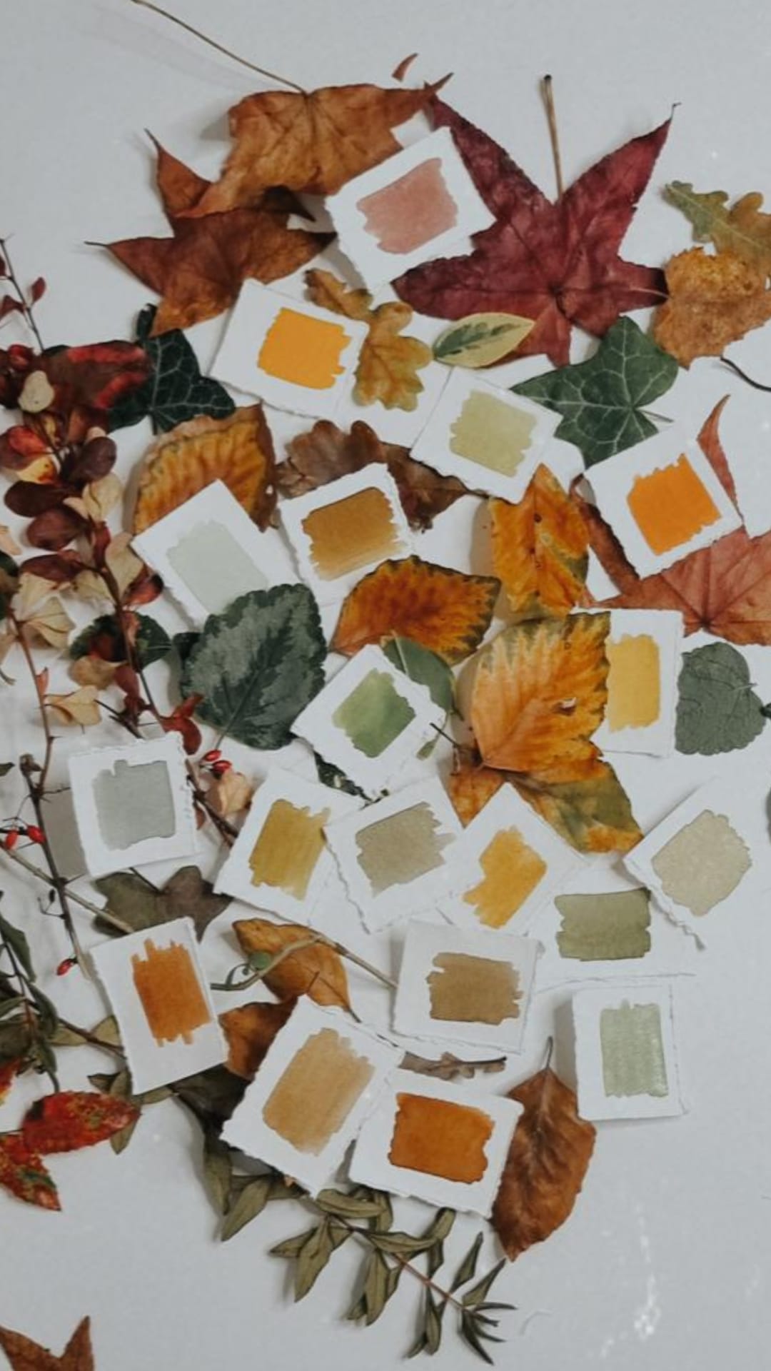 Workshop 'De herfst in Aquarel' - Foto