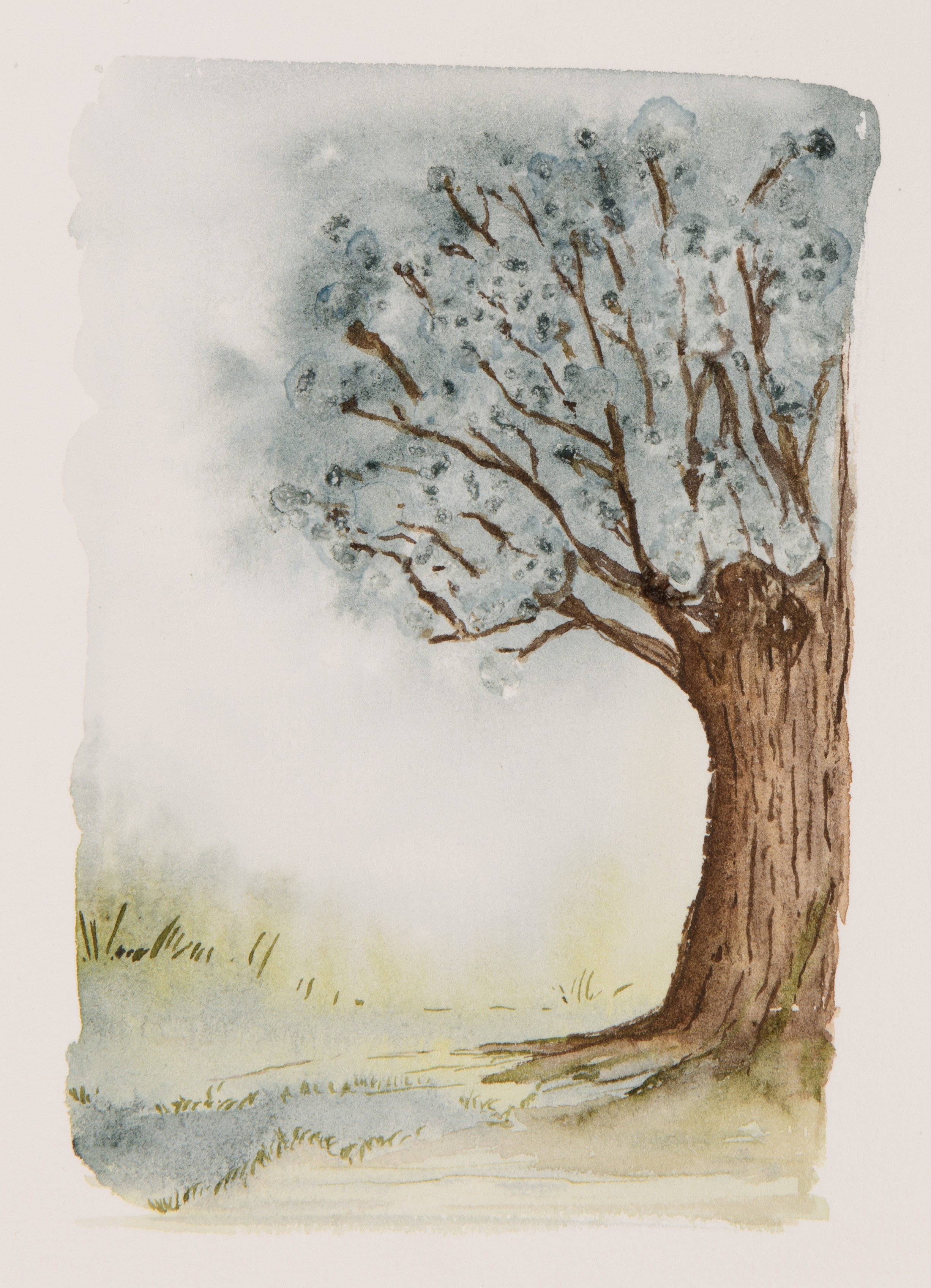 Bomen in Aquarel workshop - Foto