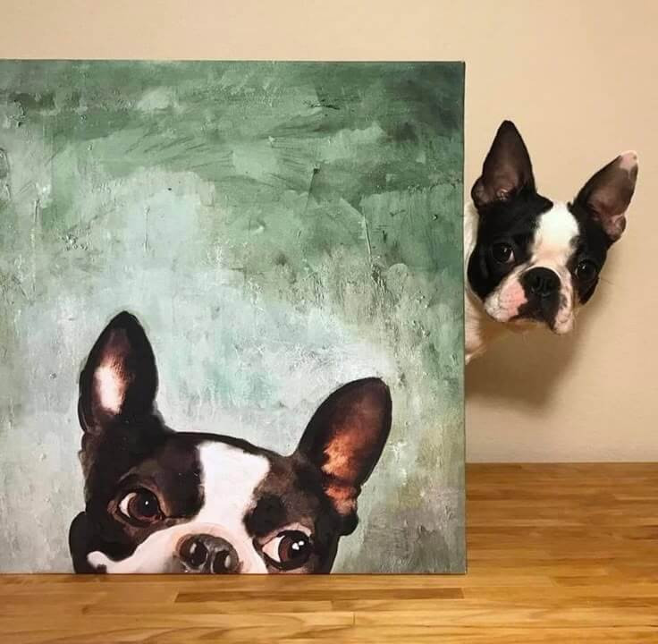 Paint your pet & Sip - Zet je huisdier letterlijk in de verf ter ere van Werelddierendag! - Foto