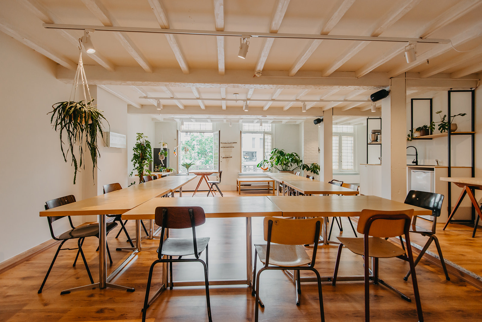 Workshop kamerplanten stekken en vermeerderen – kweek je eigen jungle (24/10) - Foto