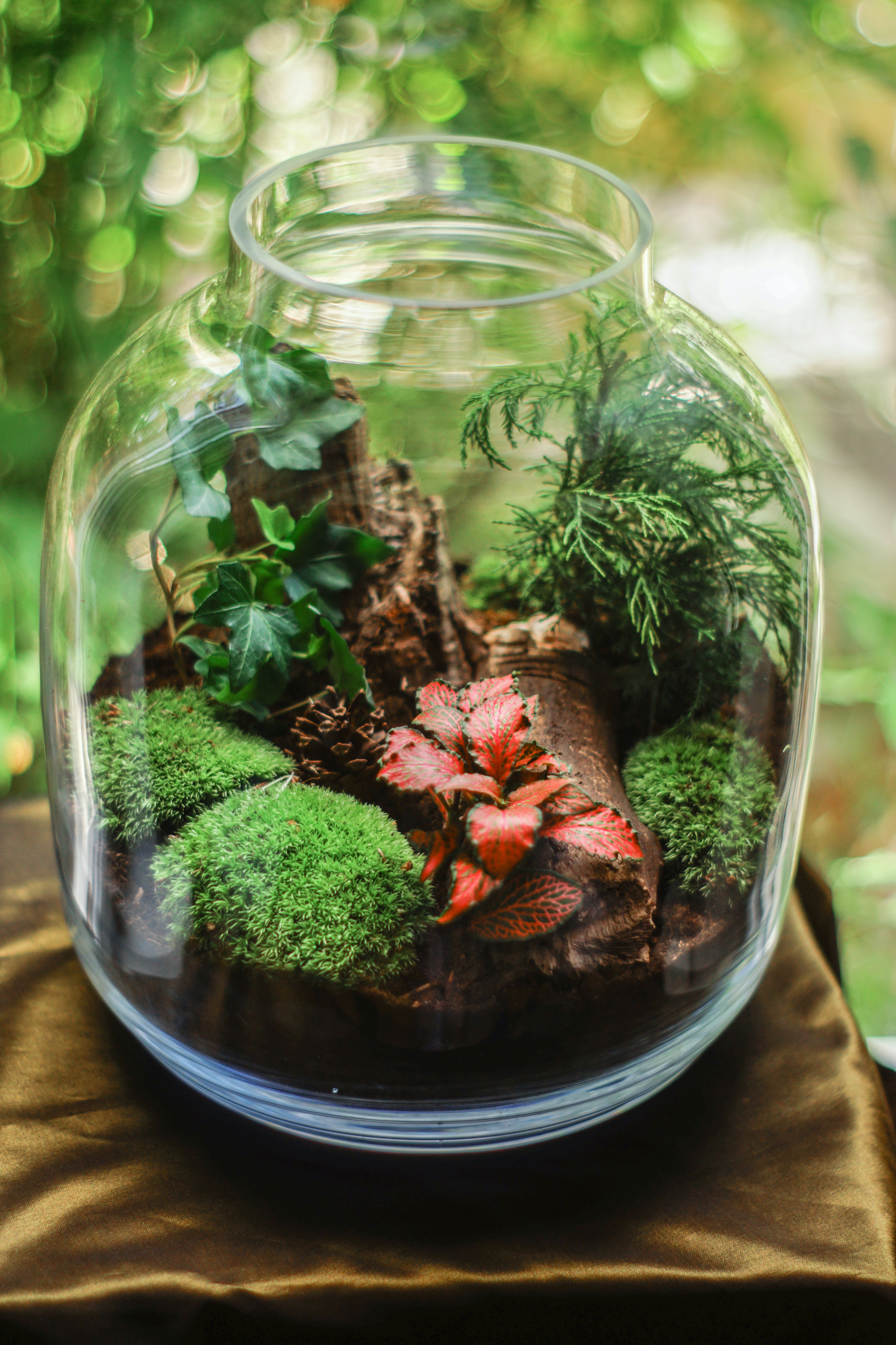 Workshop Terrarium maken en verzorgen (26/09) - Foto