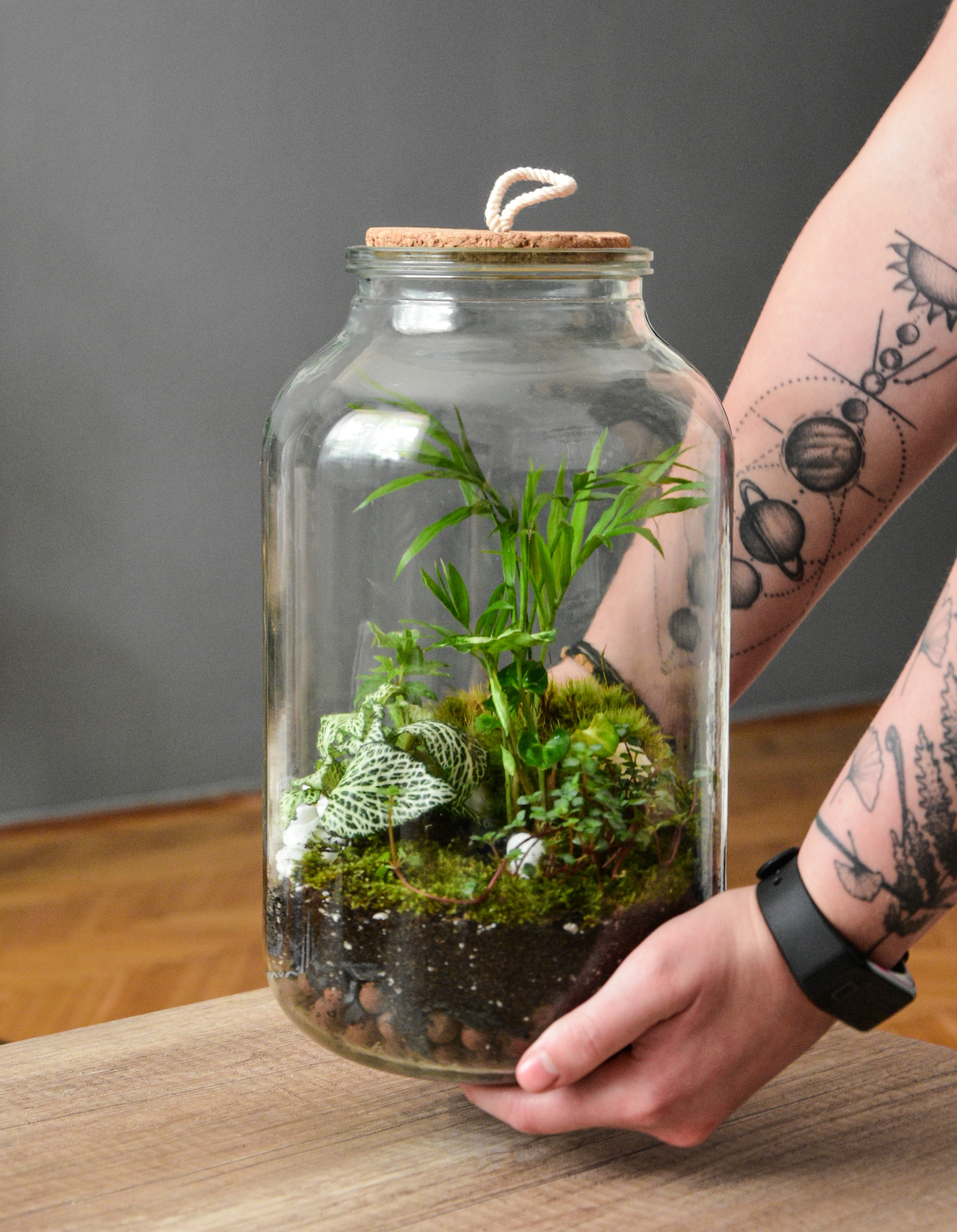 Workshop Terrarium maken en verzorgen (26/09) - Foto