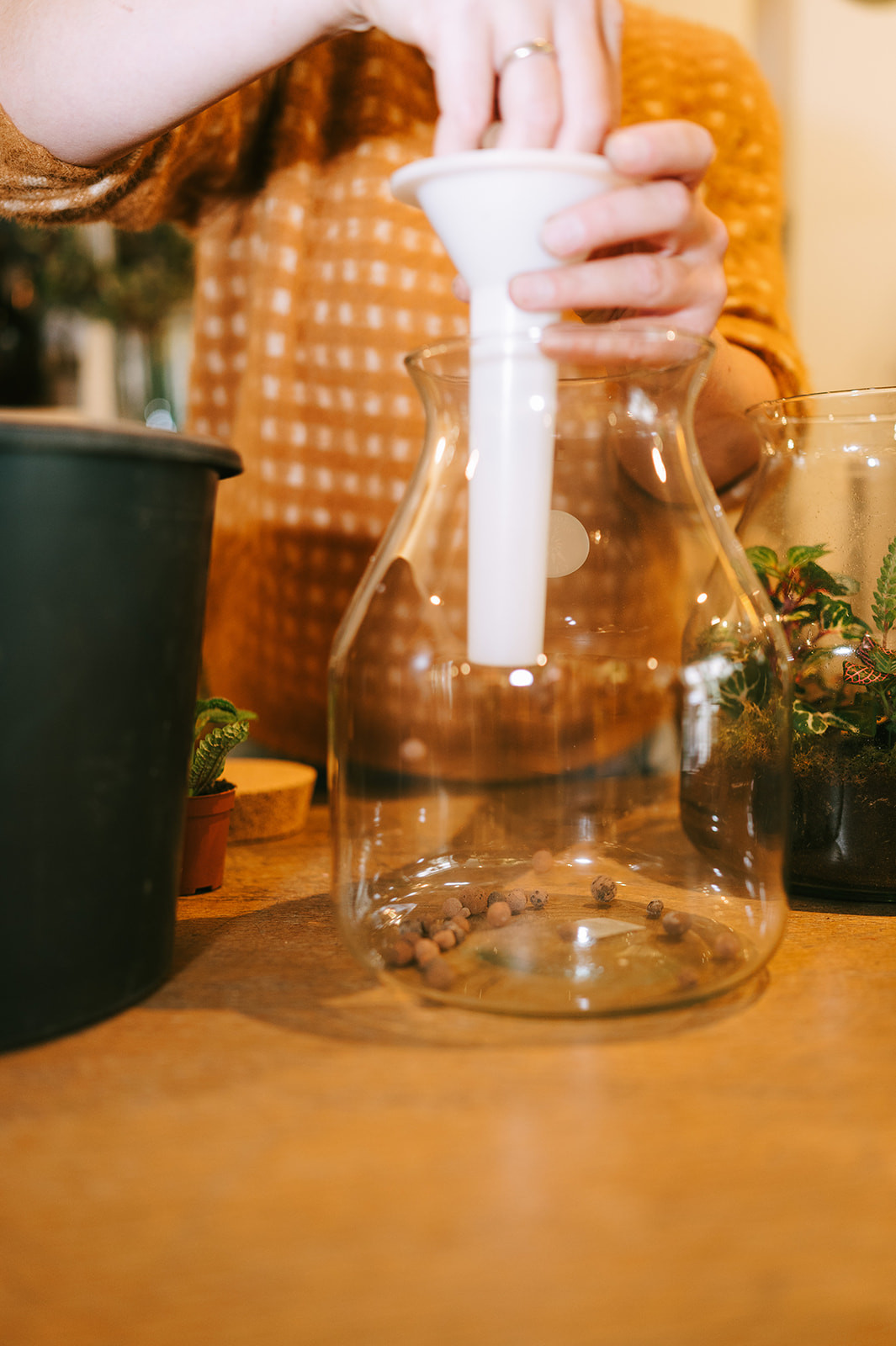 Workshop Terrarium maken en verzorgen (26/09) - Foto