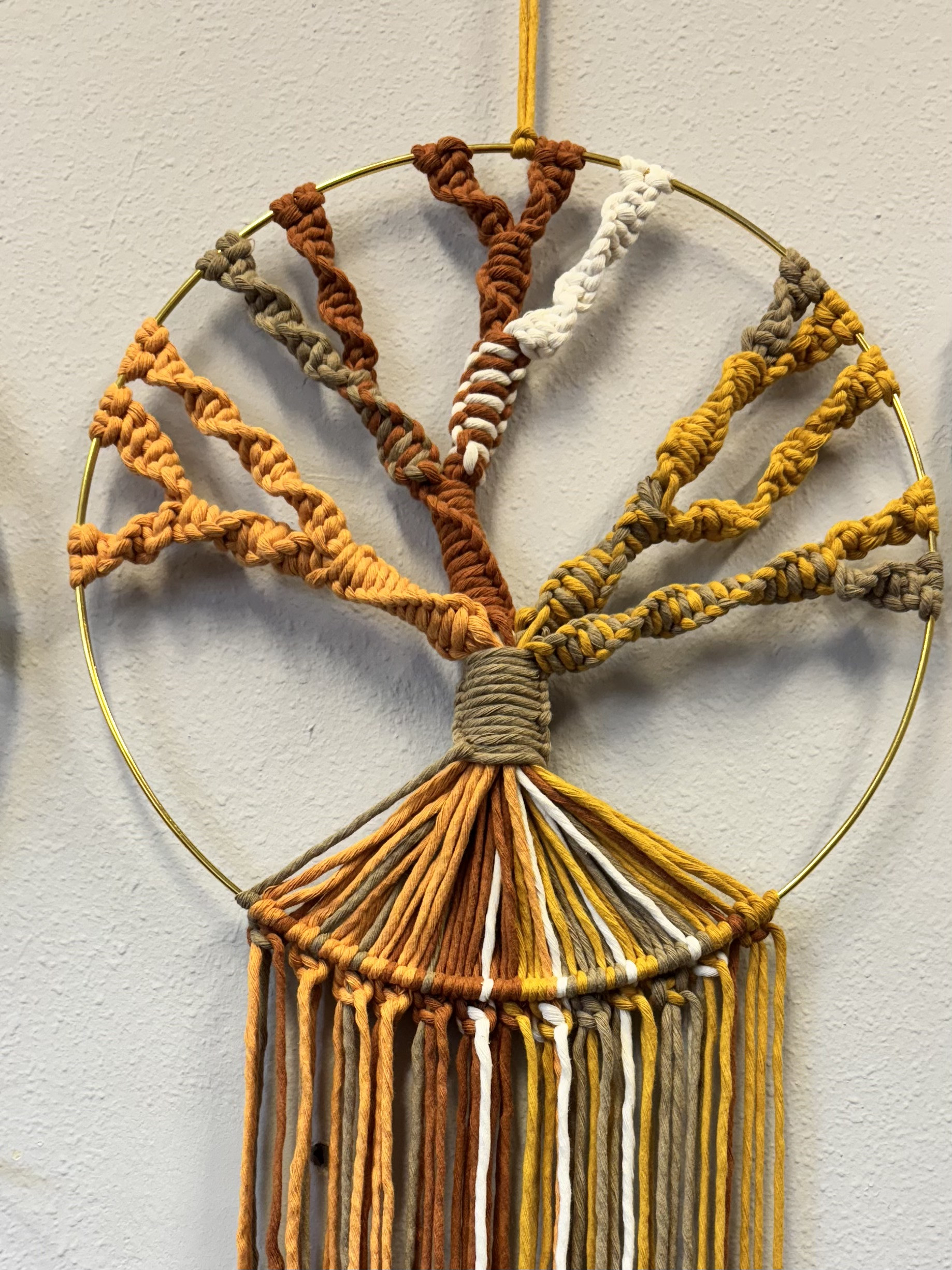 Workhop Macramé (plantenhanger) - Foto