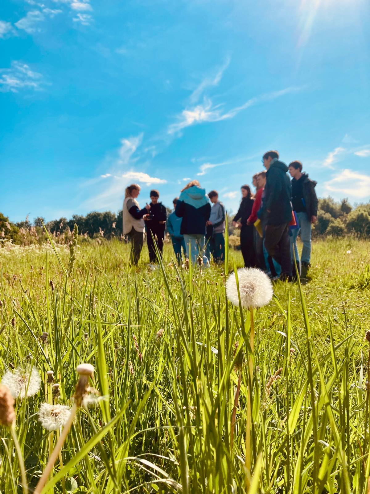 Wildplukwandeling - Foto
