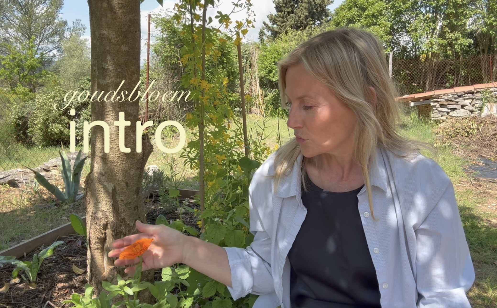 Kruiden Kickstart: Natuurlijke Selfcare & EHBO - Foto