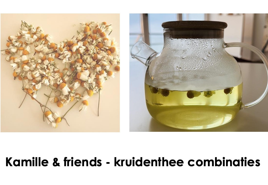 Kruiden Kickstart: Natuurlijke Selfcare & EHBO - Foto