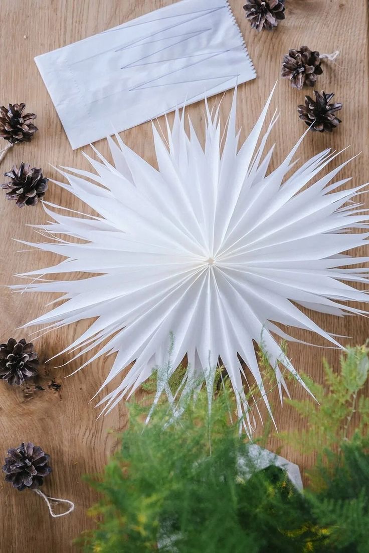 Papieren kerstster maken @Libelle Winterfair - 14/11 om 11u - Foto