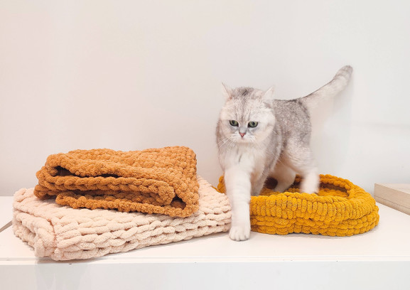 Cats & Knits – Mandje handbreien in het kattenparadijs 🐈🧶✨