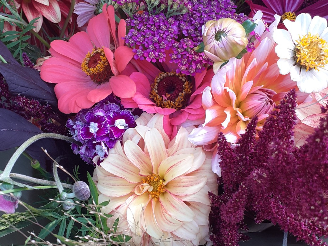 Breakfast & Flowers (herfst-editie) - Foto