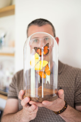 Workshop 'Vlinders prepareren'