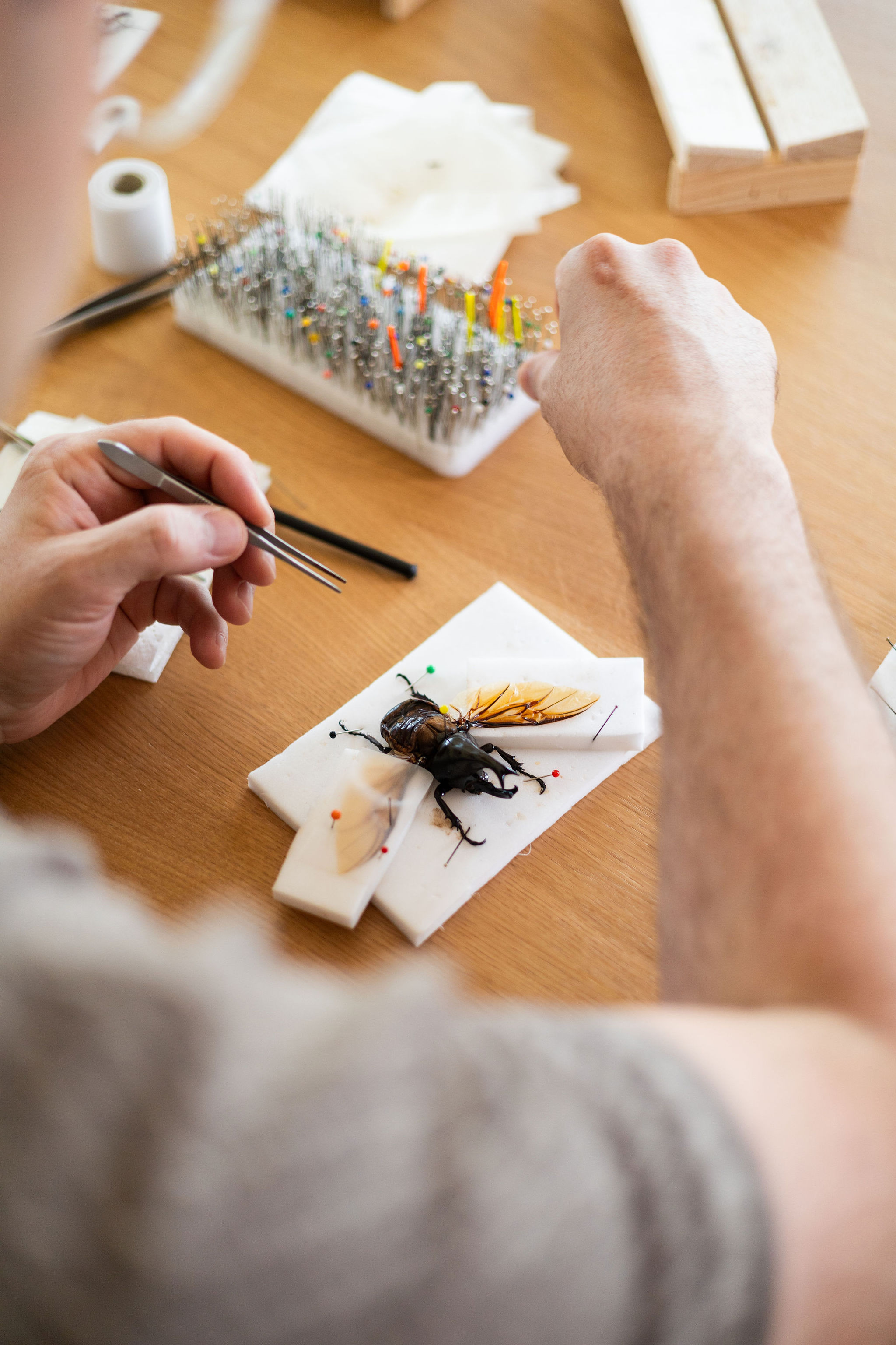 Workshop 'Kevers prepareren' - Foto