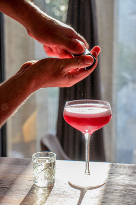 Gin Cocktails maken