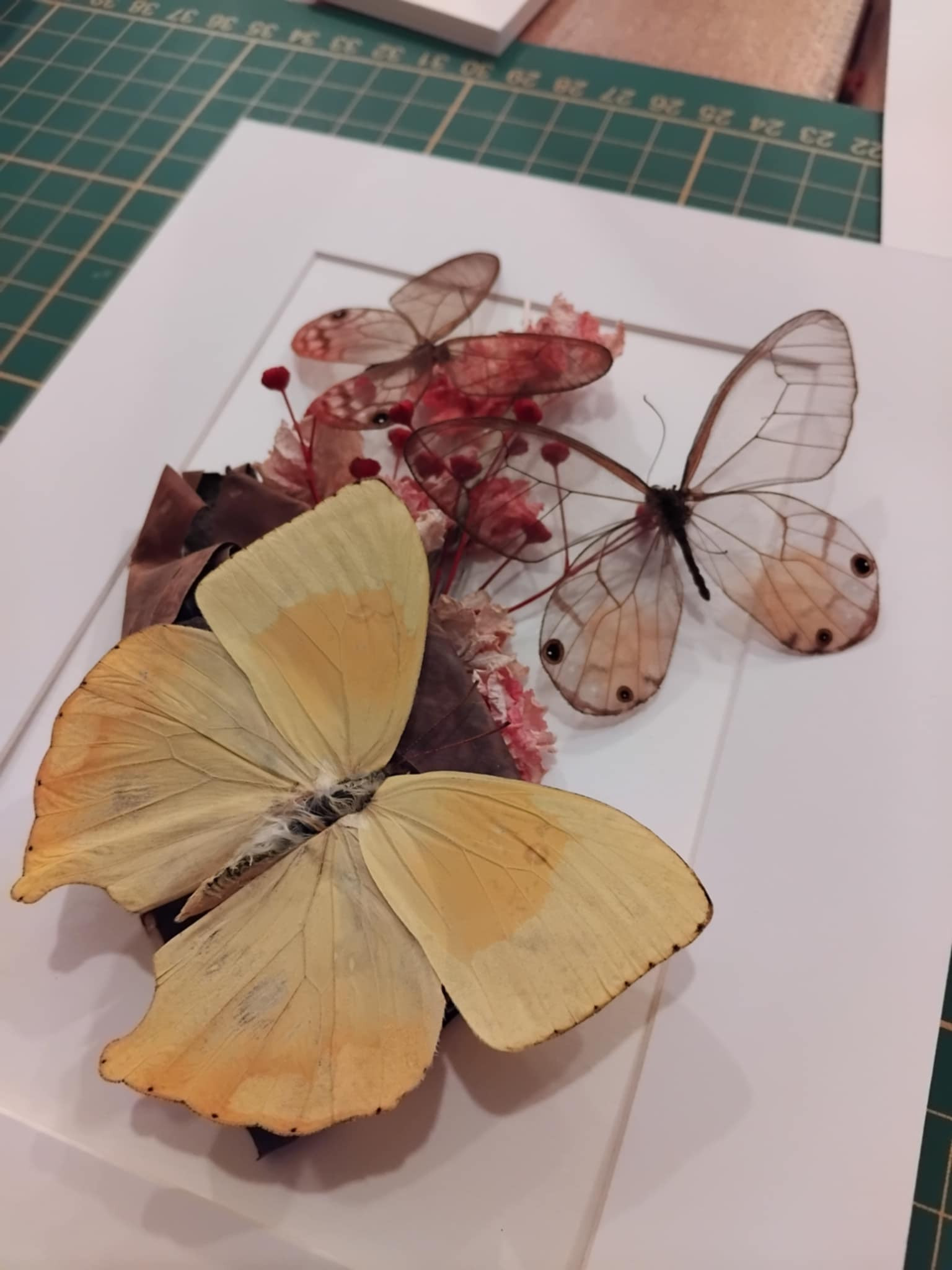 Workshop Vlinder Frame - Foto