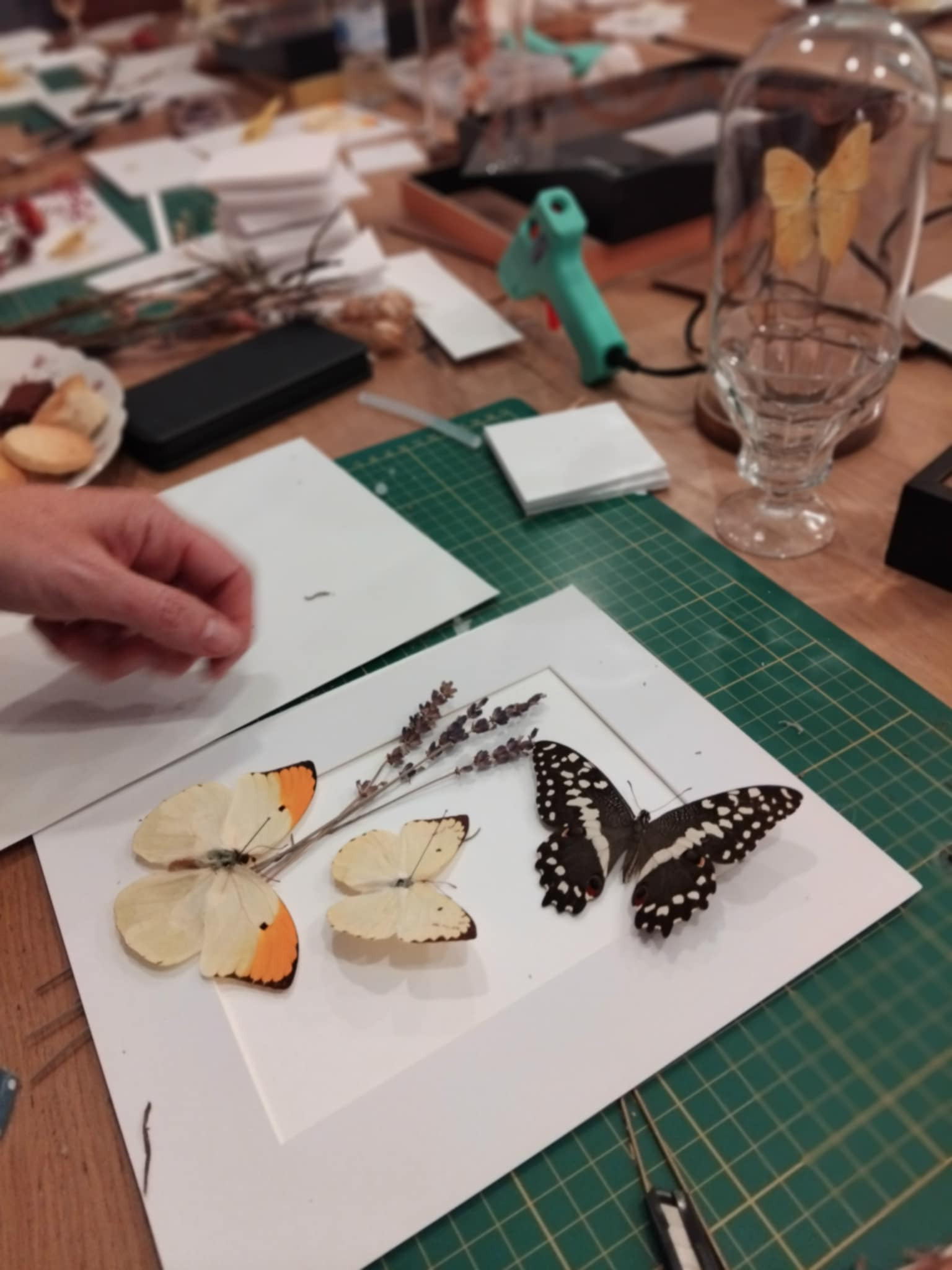 Workshop Vlinder Frame - Foto