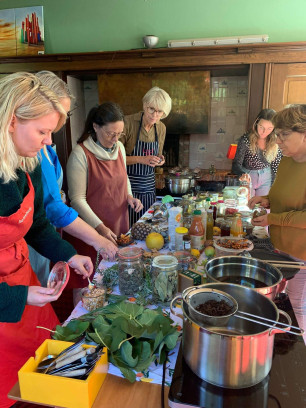 Workshop Kombucha & Co