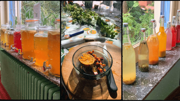 Doe-het-zelf KOMBUCHA pakket