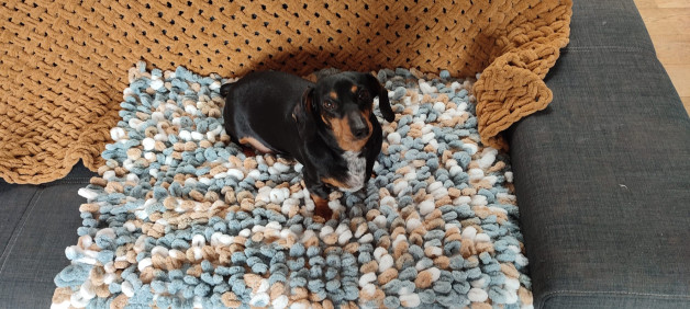 🧶 Workshop Fluffy Mat – Breien met je handen voor jouw viervoeter (of jezelf!) Breien zonder naalden? Jep, dat kan!