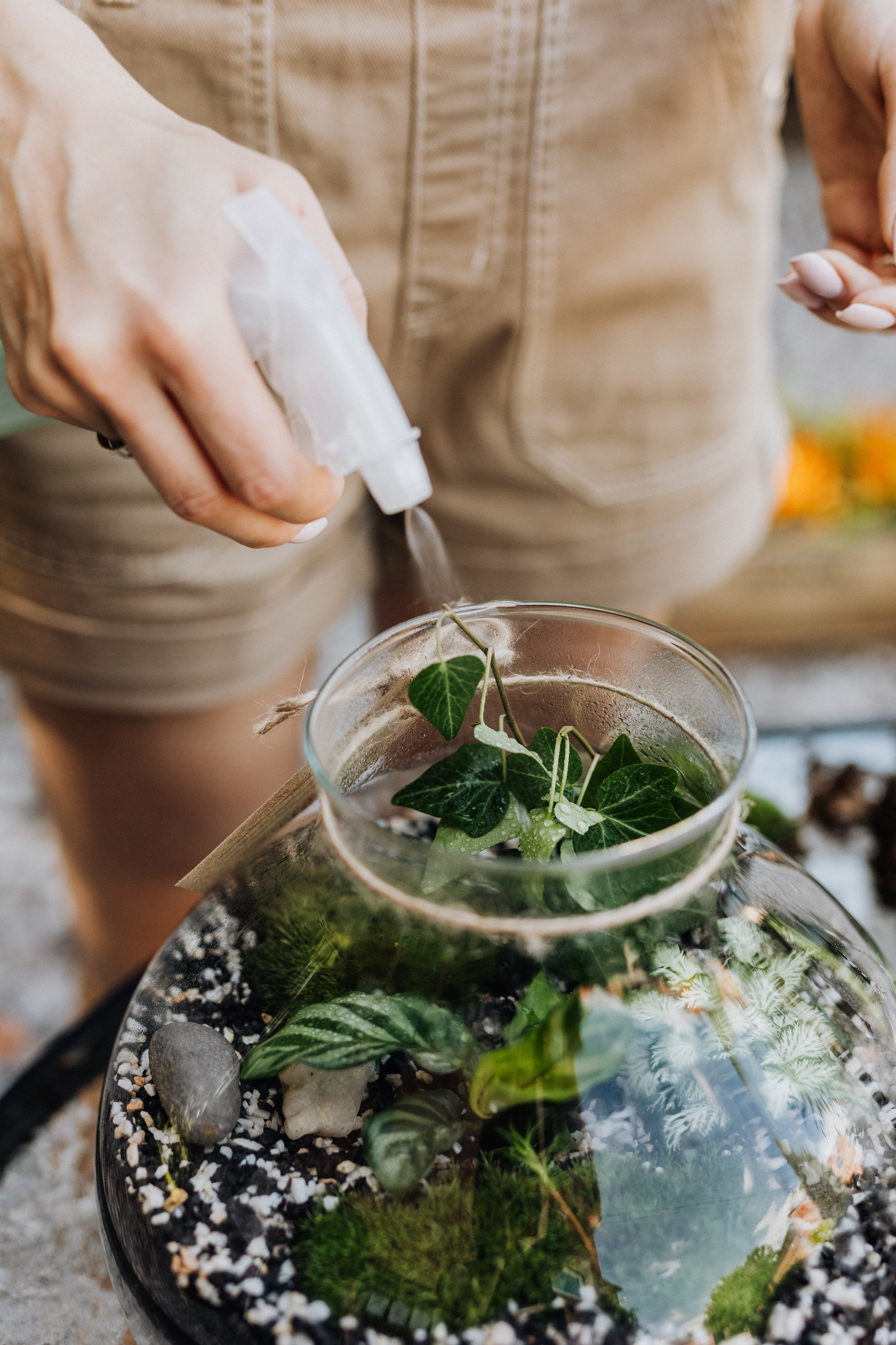 -Workshop Terrarium maken en verzorgen (24/01) - Foto